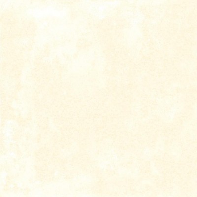 Codicer Evoque Cream