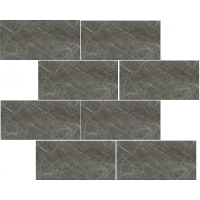 Rex Prexious Charm.A. Mur.Mat